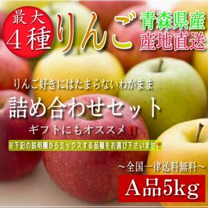 最大4種ミックス【青森県産りんご5kg】【産地直送】【即購入OK】【送料無料】家庭用 りんご リンゴ ふじ