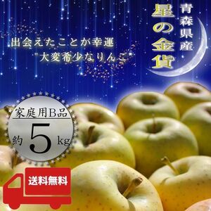 ＂ 星の金貨 ＂ 【青森県産りんご5kg】【産地直送】【即購入OK】【送料無料】家庭用 りんご リンゴ 林檎