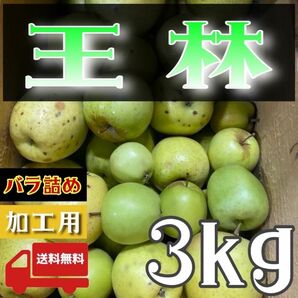 ＂ 王林 ＂【青森県産りんご3kg】【産地直送】【即購入OK】【送料無料】加工用 りんご リンゴ 林檎