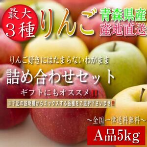 最大3種ミックス【青森県産りんご5kg】【産地直送】【即購入OK】【送料無料】家庭用 りんご リンゴ ふじ