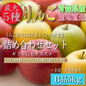 最大5種ミックス【青森県産りんご5kg】【産地直送】【即購入OK】【送料無料】家庭用 りんご リンゴ ふじ