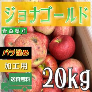 ＂ ジョナゴールド ＂【青森県産りんご20kg】【産地直送】【即購入OK】【送料無料】加工用 りんご リンゴ 林檎