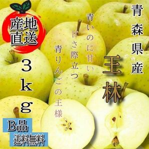 ＂ 王林 ＂【青森県産りんご3kg】【産地直送】【即購入OK】【送料無料】家庭用 りんご リンゴ 林檎