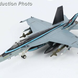 HOBBY MASTER HA5129 1/72 F/A-18E スーパーホーネット TOPGUN w/GBU-24 完成品の画像1