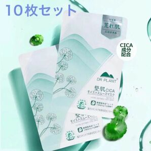 DR PLANT CICA シカ モイストスムーズ マスク パック 10セット