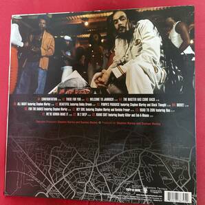 DAMIAN JR.GONG MARLEY/WELCOME TO JAMROCKの画像2