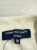 COMME des GARCONS HOMME◆AD2008/ポロシャツ/M/コットン/BLU/ストライプ/HC-T104_画像3