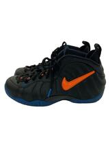 NIKE◆AIR FOAMPOSITE PRO/エアフォームポジットプロ/ブラック/624041-010/27.5cm/B_画像1