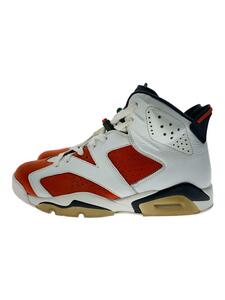 NIKE◆AIR JORDAN 6 RETRO/エアジョーダンレトロ/ホワイト/384664-145/28cm/WHT