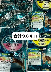 【本日中限定値下】ピュリナワン　ドライフード詰め合わせ　合計9.6キロ キャットフード