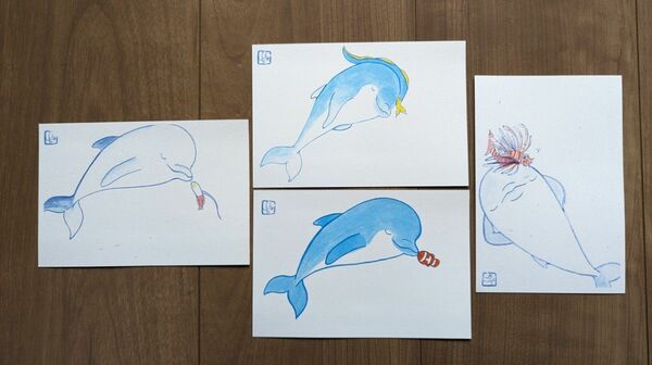 イルカ&熱帯魚のイラスト ポストカード ４枚セット 絵葉書 クマノミ ミノカサゴ ハナヒゲウツボ