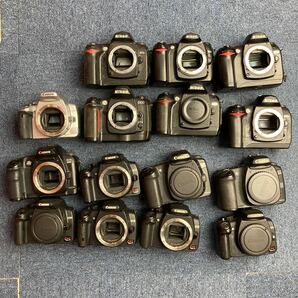 【A19】計15個 Canon Nikon デジタル一眼レフ まとめ売り Nikon D70s D50 D100 EOS Kiss Digital X D60 20D Kiss Digital N 等の画像1