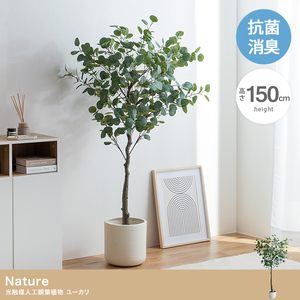 【送料無料】【高さ150cm】Nature 光触媒人工観葉植物 ユーカリ