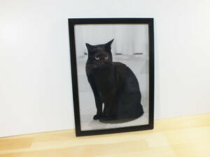 猫のアートポスター A4サイズ　モノトーン　モノクロ インテリア
