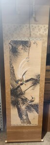  老松寿帯鳥図 諏訪鴻明？ 掛け軸 掛軸 鳥 共箱 絵画 自筆？日本画 