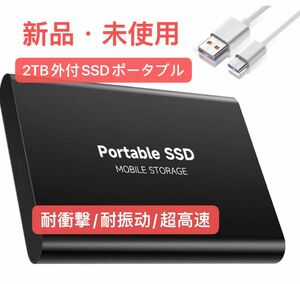 2TB 外付けSSD ポータブル 新しいアップグレードされた外付けSSD USB3.1 Type-C 読出最大650MB/秒