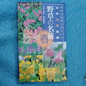 /11.23/ 山渓名前図鑑 野草の名前 春―和名の由来と見分け方 (山溪名前図鑑) 著者 高橋 勝雄 240323