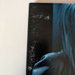 2003年リリース デビューアルバム SINNE EEG シーネ・エイ 日本盤ボーナストラック収録 ピクチャーディスク仕様 女性ボーカルの画像2