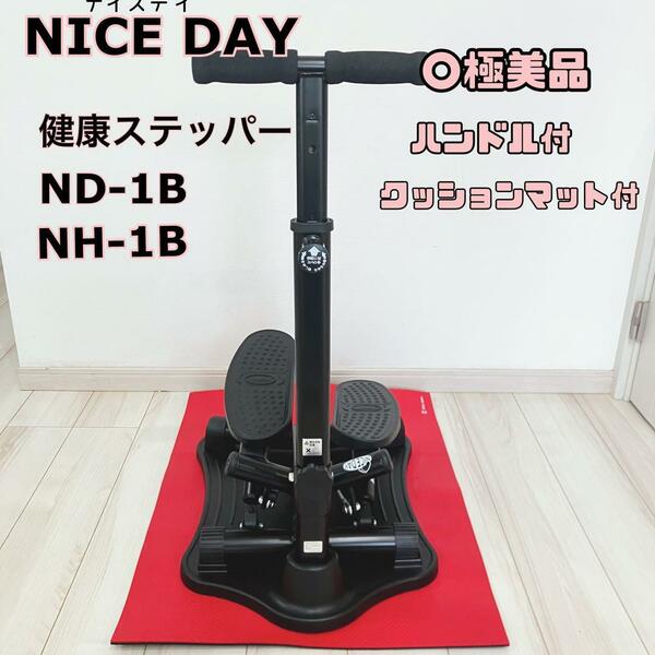 【美品】 NICE DAY 健康 ステッパー ブラック エクササイズ ハンドル ダイエット　脂肪燃焼　運動　痩せる　夏　プール