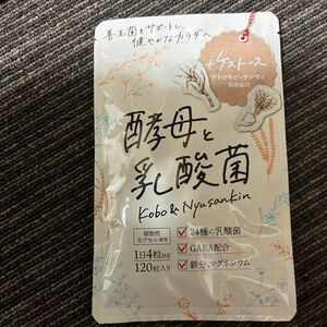 酵母と乳酸菌 サプリメント