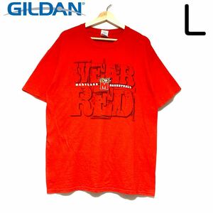 輸入古着 Gildan ギルダン カレッジTシャツ メリーランド大学 バスケットボール部 両面プリント