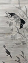【模写】掛け軸　掛軸　絵画　日本画　魚　骨董品　　136_画像3