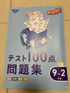 チャレンジタッチ3年生　テスト100点問題集　漢字じてん