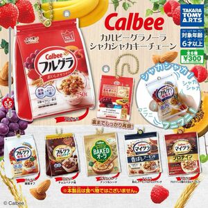 カルビー グラノーラ シャカシャカキーチェーン コンプリート 全6種 コンプ