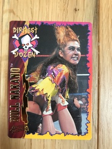 ■WWF/WWE■1995年 WWFオフィシャル・トレーディングカード ボックス付 ブル中野、ヨコヅナ、アンダーテイカーなどレアカードあり！