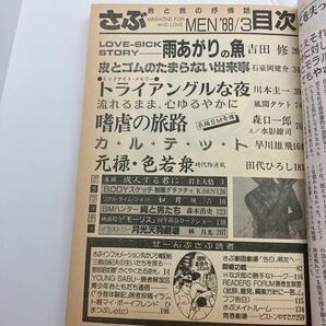 ゲイ雑誌 さぶ 1988年3月 ゲイコミック 吉田修 田代ひろし 林月光 三島剛 LGBT ホモ 同性愛 伊藤文学の画像5