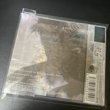 【新品同様】Does It Escape Again & uijin / Ceremony of khaos【国内Metalcore x 地下アイドル】Broken By The Scream,Babymetal,Sim_画像2