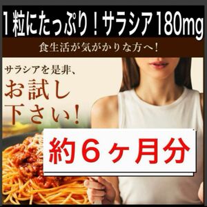 糖質制限ダイエットしている方に★糖質カット★1粒に180㎎のサラシアとビタミンC★各6ヶ月分