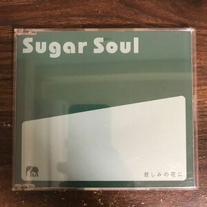 (E491-1)帯付 中古CD100円 Sugar Soul 悲しみの花に