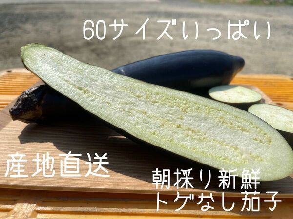 ６０サイズ　箱いっぱい　産地直送　農家直送　朝採り　新鮮野菜　野菜　茄子　ナス