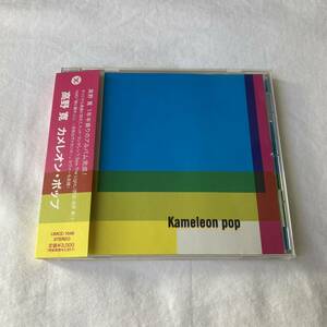 カメレオンポップ／高野寛