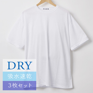 3L/新品 無地 Tシャツ インナー スポーツウェア ビッグサイズ 吸水速乾 3枚セット まとめ売り 大きいサイズ メンズ レディース 白 2309の画像2