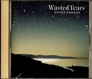 CD★浜田省吾／Wasted Tears