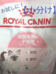 お試しに！【小分け】ロイヤルカナン キトン 300g（成長後期4ヶ月から12ヶ月の子猫用） 