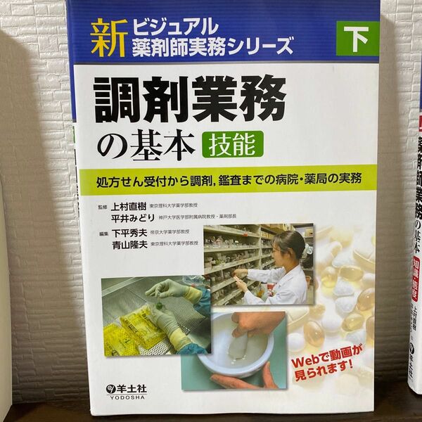 ビジュアル薬剤師業務シリーズ