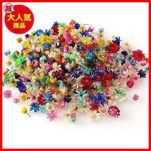 * multicolor * material resin dry seat nails pressed flower flower small pendant Mini resin for Star flower DIY dry flower 200 piece entering 