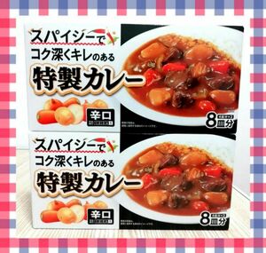 エスビー食品　S&B　スパイシーでコク深くキレのある特製カレー　カレールウ　カレールー　 辛口　2点