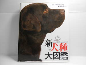  new dog kind large illustrated reference book blues * four gru work pet life company pet dog dog 