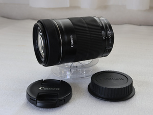 CANON キャノン EF-S55-250mm F4-5.6 IS STM カビ有り　ジャンク品