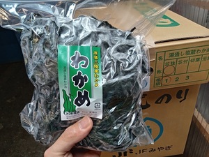 お徳用！三陸産一等外洋塩蔵わかめ【岩手重茂・宮古小成】1ｋｇ