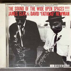 James Clay & David 'Fathead' Newman / The Sound of the Wide Open Spaces !!!! 中古CD 国内盤 帯付き の画像2