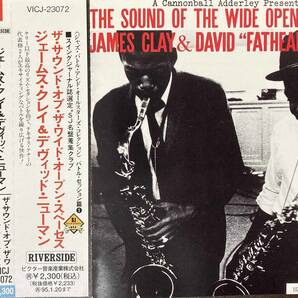 James Clay & David 'Fathead' Newman / The Sound of the Wide Open Spaces !!!! 中古CD 国内盤 帯付き の画像1