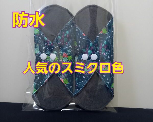 下着用パッド サニタリー 布ナプキン 尿ケア対策 2枚セット