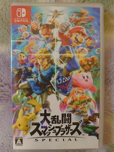 Nintendo Switch 任天堂 スイッチ 大乱闘スマッシュブラザーズ SPECIAL