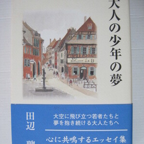 大人の少年の夢 田辺 聡著