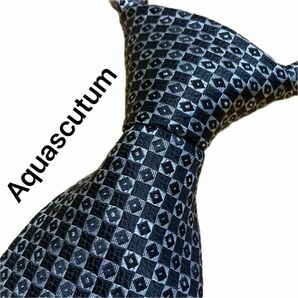 【極美品】アクアスキュータム　ネクタイ Aquascutum